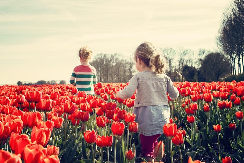 Kids Gardening